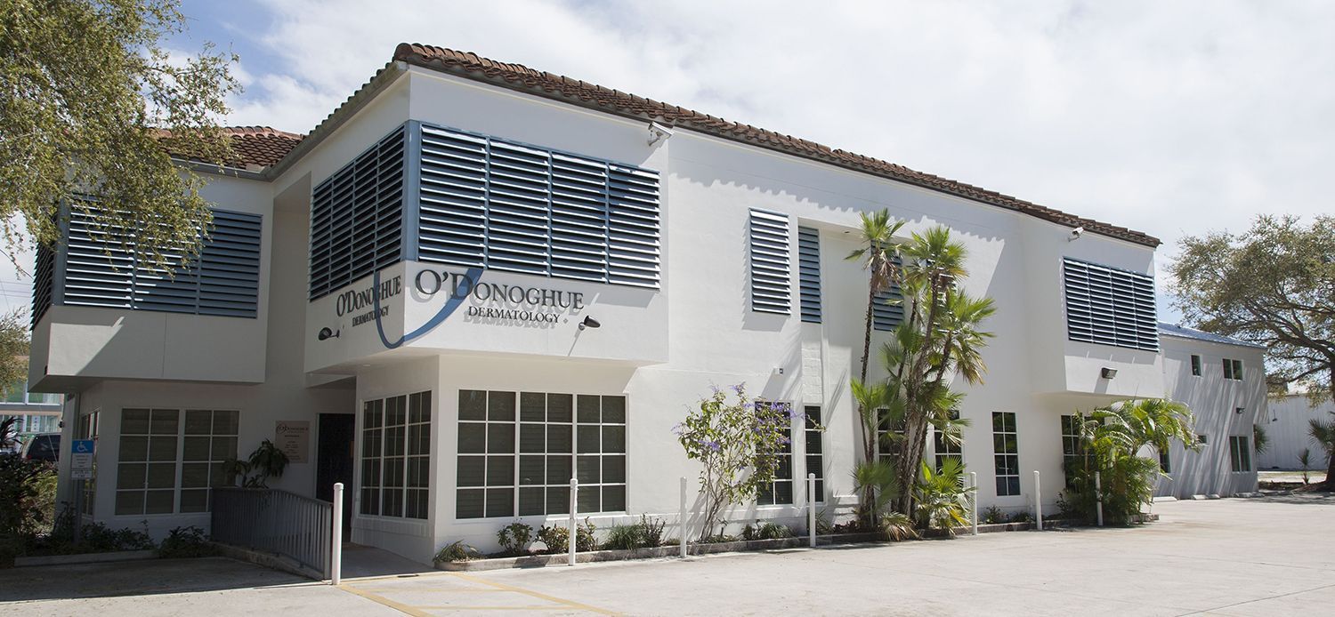 web Dr O New Addition 2019 7